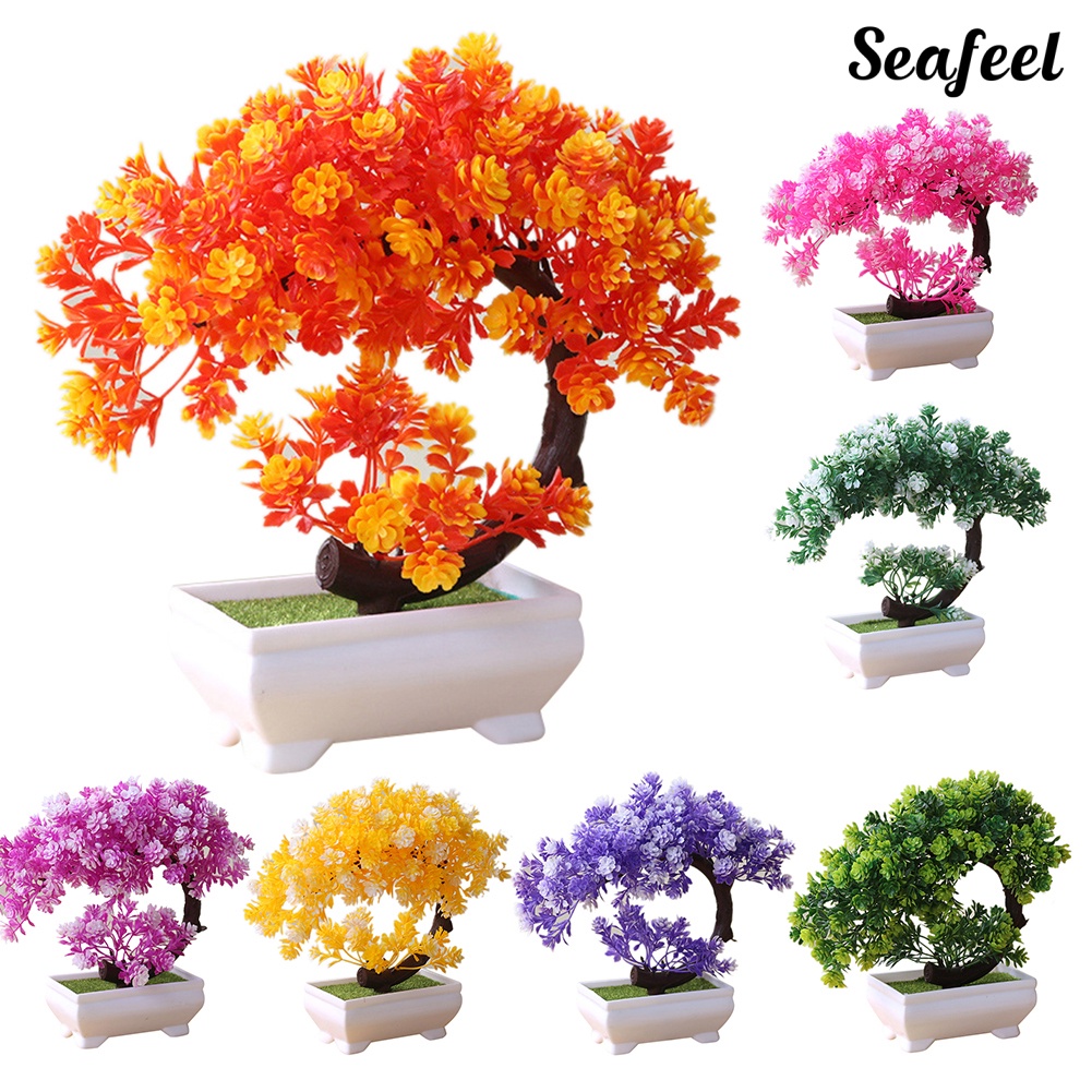Chậu Cây Bonsai Giả Trang Trí Bàn