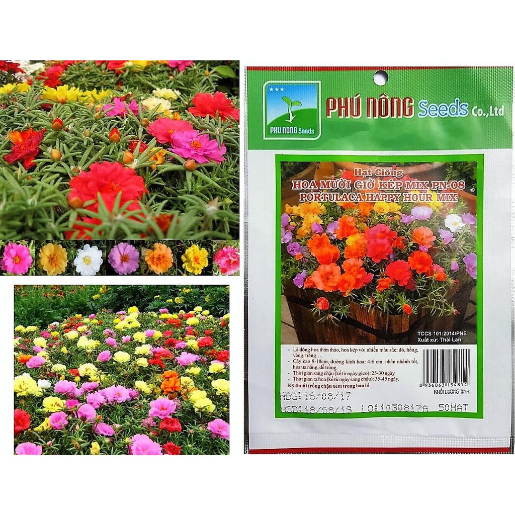 HOA MƯỜI GIỜ MIX KÉP THÁI LAN ( PHÚ NÔNG) PN08 - KLT 50 HẠT - PhuNongSeeds - VTNN Nông Điền Trang
