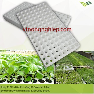 20 Khay xốp ươm hạt 84 lỗ