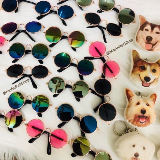 MẮT KIẾNG CÚN MÈO