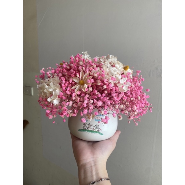 Chậu Hoa Baby Khô Decor trang trí nhà cửa văn phòng đẹp