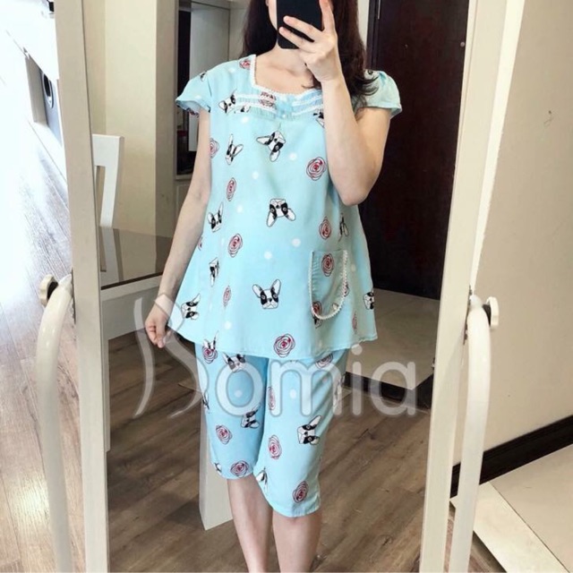 Bộ lanh bầu ngố
