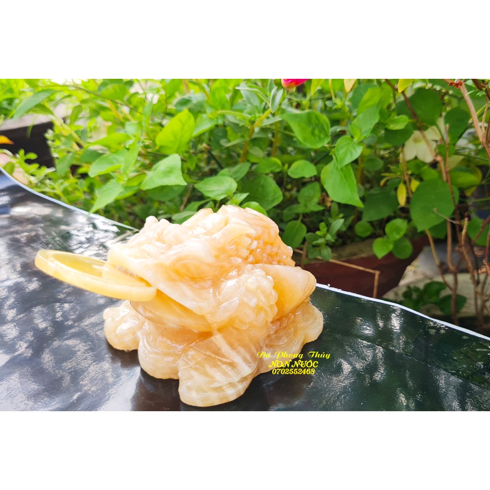 Thiềm Thừ Đá Ngọc Hoàng Long  kích thước 10cm