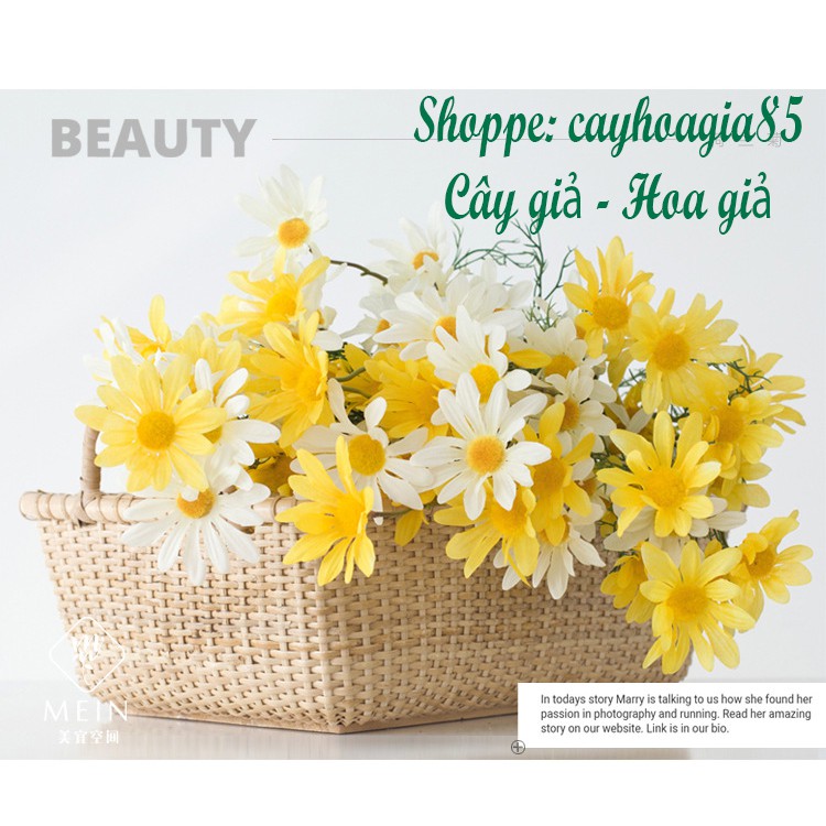 HOA CÚC HOẠ MI GIẢ Giống Thật - 1 Cành 5 Bông
