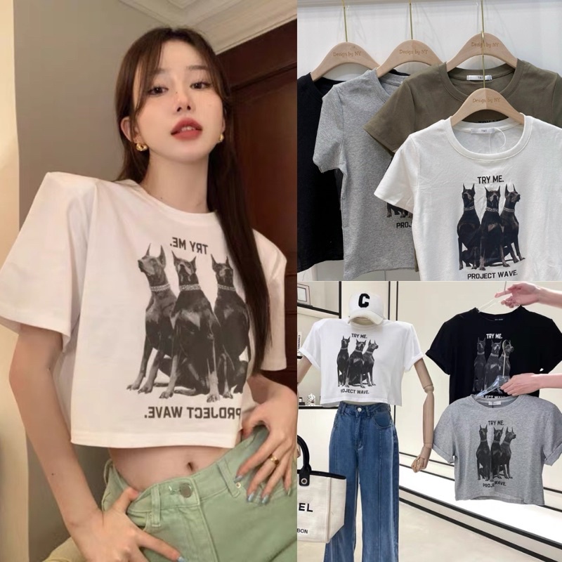 Áo croptop form rộng chất thun in hình chó cá tính hàng Quảng Châu