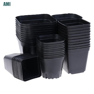 Combo 10 chậu nhựa cứng trồng Sen Đá, Xương Rồng để bàn!