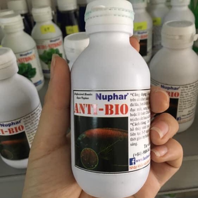 Anti-Bio dung dịch trị các loại bệnh thường gặp ở cá cảnh