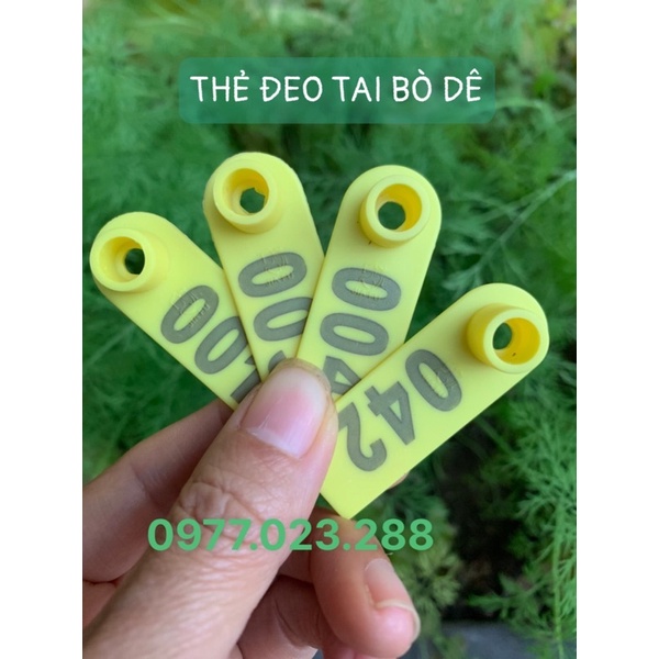 Thẻ Tai Bò Dê Có Số, Giúp Quản Lý Số Lượng, Theo Giõi Sức Khoẻ Nắm Tình Hình Của Từng Con Vật Nuôi
