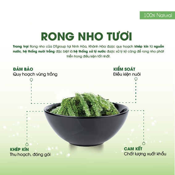 Rong Nho tách nước chính hãng Okinawa Hộp 100g