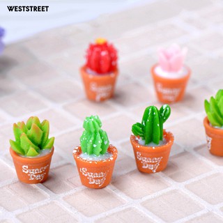 Chậu cây xương rồng resin