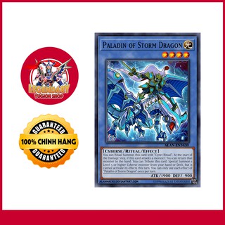Paladin of Storm Dragon