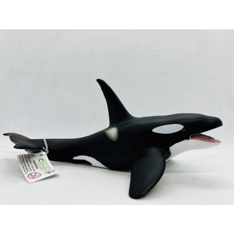 Mô hình động vật , đồ chơi con vật CollectA chính hãng Cá voi sát thủ 88043 - Schleich House