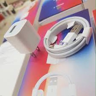Bộ Sạc IPhone X Chính Hãng (Sạc Nhanh Cho Các Dòng Iphone 5 Trở Lên)