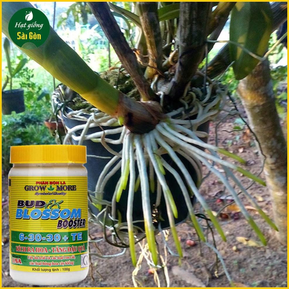 Phân Bón Lá NPK 6-30-30+TE Của Growmore Loại 100g