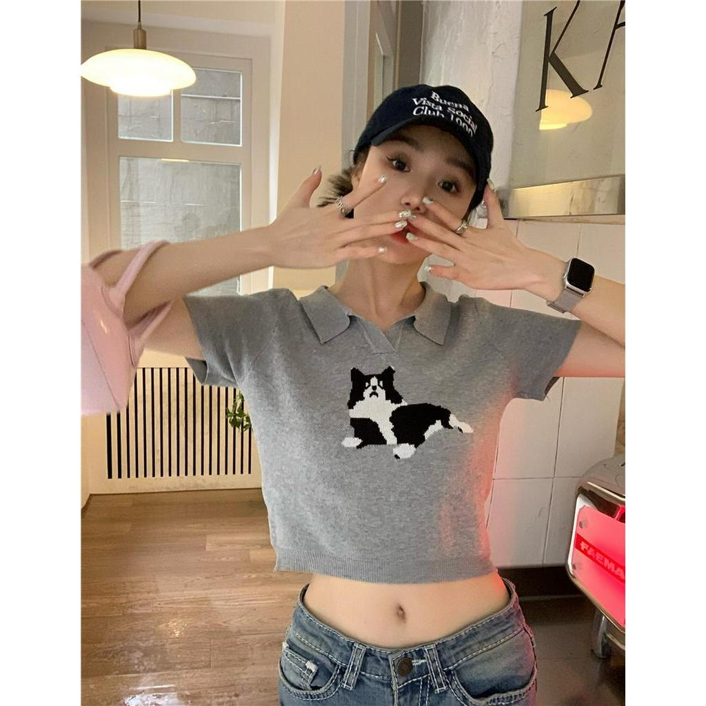 Áo Thun Dệt Kim Ngắn Tay In Hình Mèo Đáng Yêu Dành Cho Nữ 61342