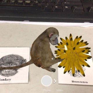Thẻ học animal 4d