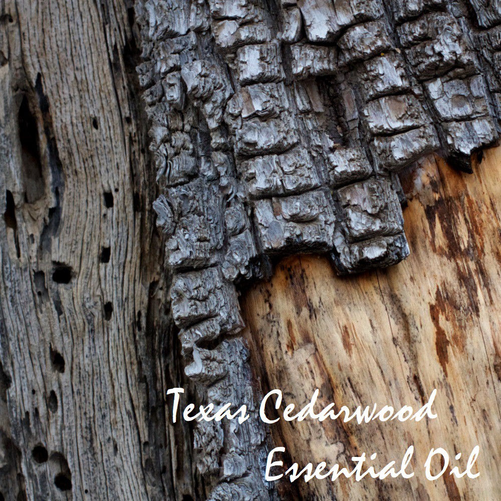 Tinh dầu gỗ Tuyết Tùng Texas Cedarwood Essential Oil