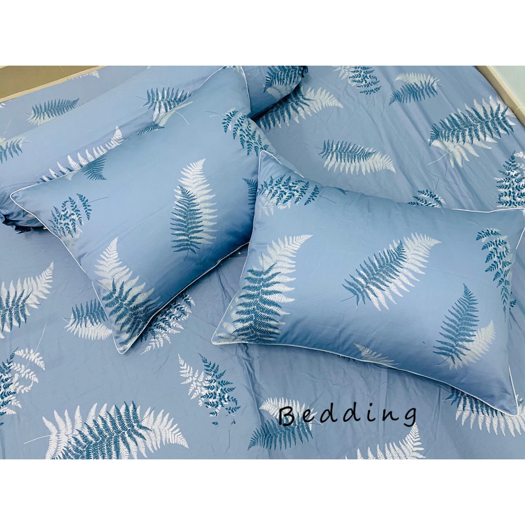 Vải cotton 100% nhập khẩu Hàn Quốc khổ 1m6