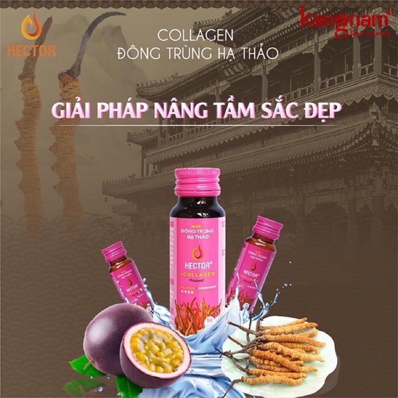 [Chính Hãng  - TĂNG QUÀ ] Nước Hector Collagen Đông Trùng Hạ Thảo 1 hộp 10 chai