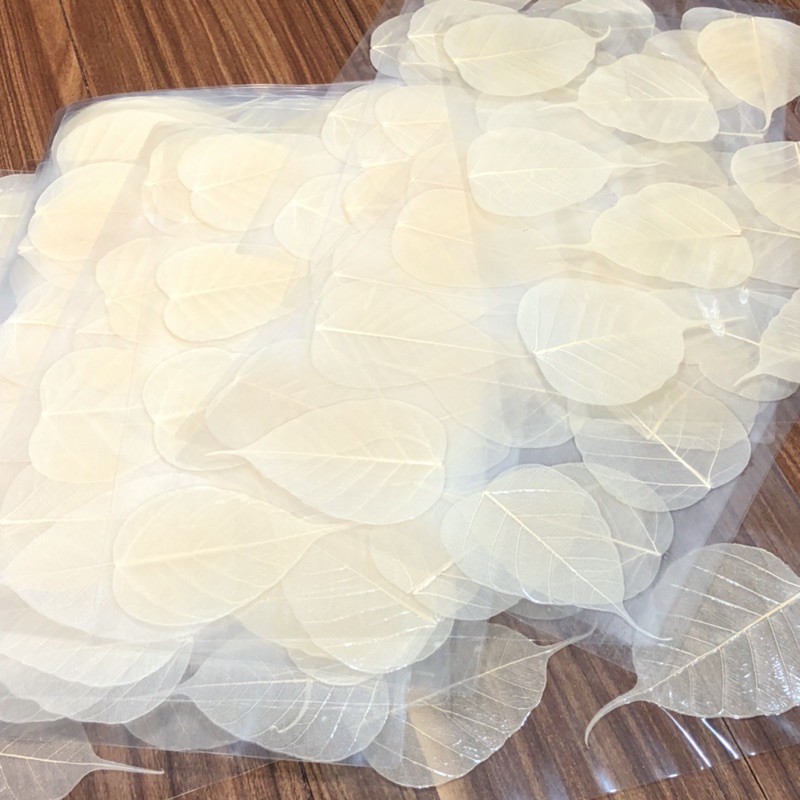 Lá Bồ Đề Trắng Tự Nhiên - mang lại may mắn, bình an | BigBuy360 - bigbuy360.vn