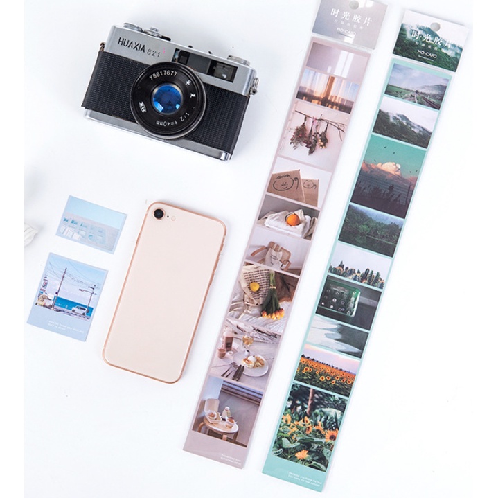 MO-CARD_Dải masking tape hình ảnh về cuộc sống, thiên nhiên, đã cắt bế viền