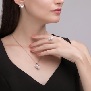 Bộ bạc trai hinh nhện