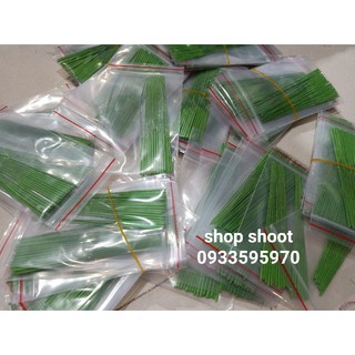 Nhụy mai đất sét( nhụy xanh non giữa bông hoa)