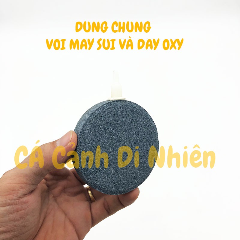 Sủi Oxy đĩa siêu mịn đường kính 8 cm cho hồ cá cảnh AIR STONE