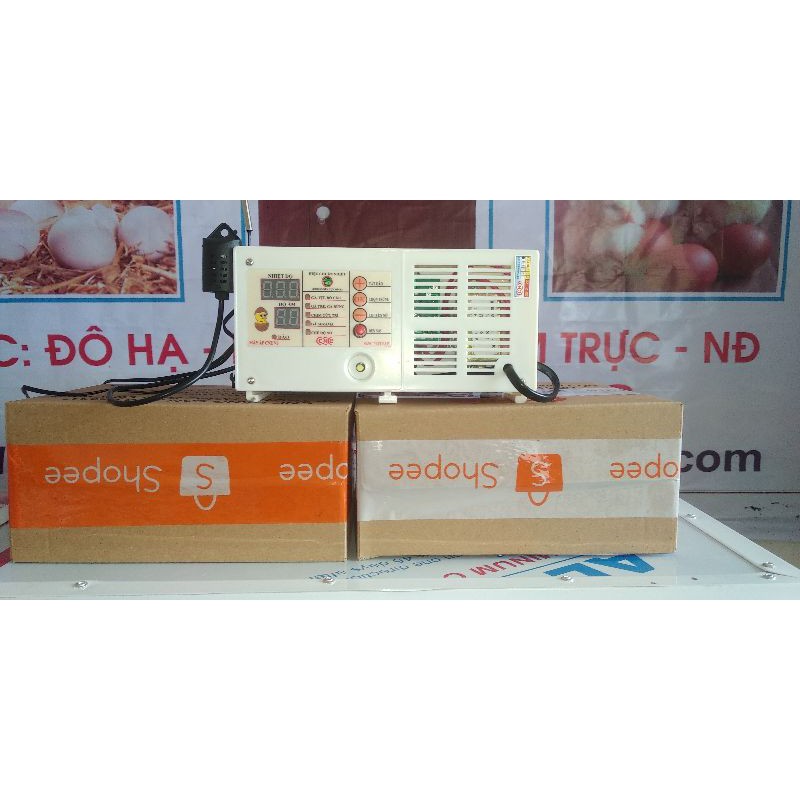 Máy Ấp V6 CNE 2022