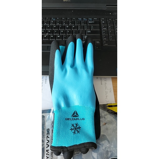 Găng tay kho lạnh  Deltaplus màu xanh chịu được âm 20 độ. hàng đẹp