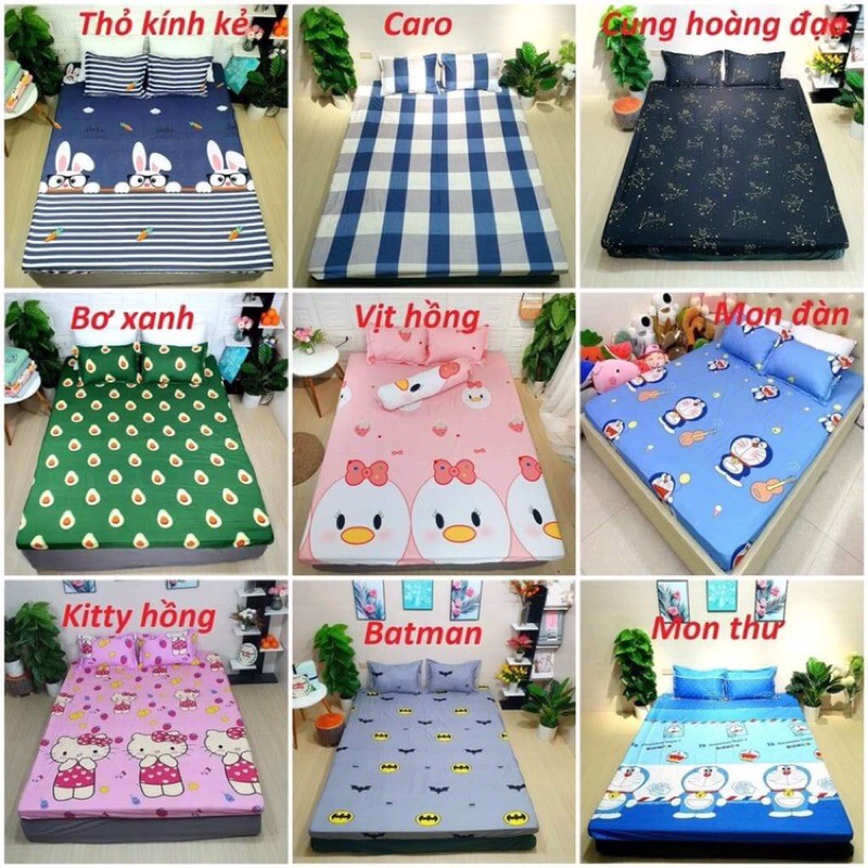 Bộ ga gối poly cotton