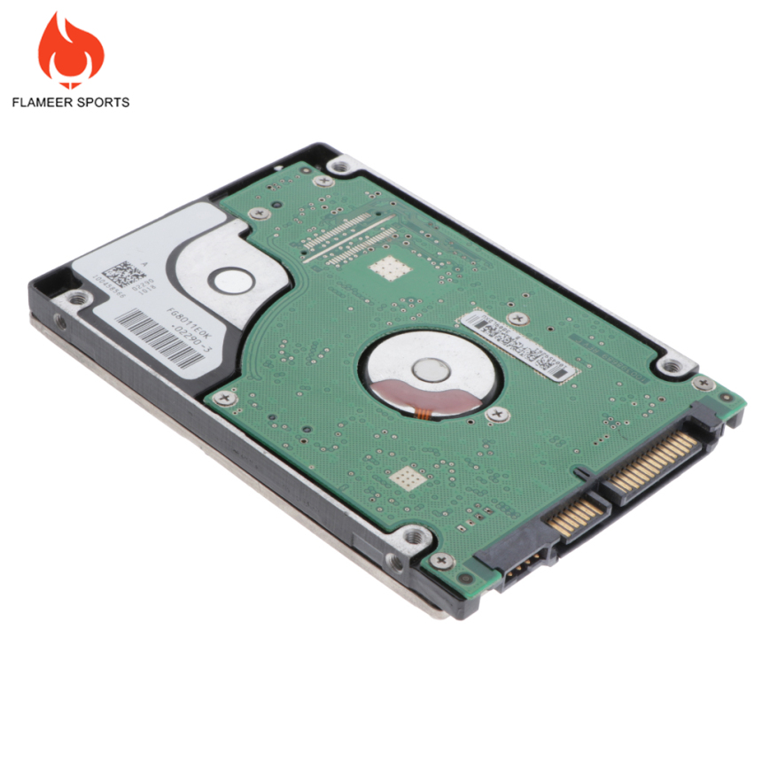 Ổ Cứng Ngoài 2.5 Inch 500gb Sata 2 8m 5400rpm | BigBuy360 - bigbuy360.vn