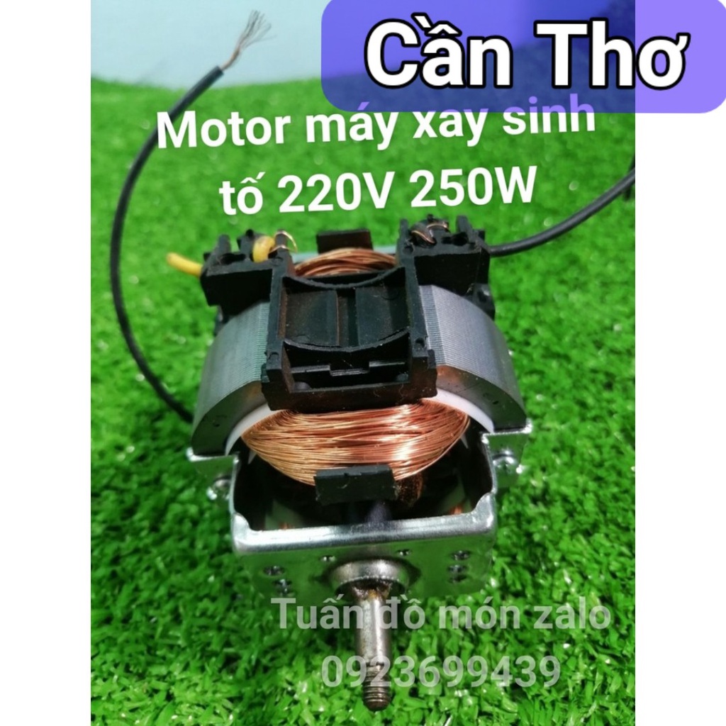 Motor Động Cơ Máy Xay Sinh Tố 220v250W phụ kiện phụ tùng linh kiện