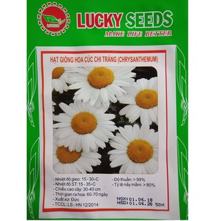 Gói 50 hạt giống hoa cúc chi trắng xuất xứ Đức- Lucky Seeds