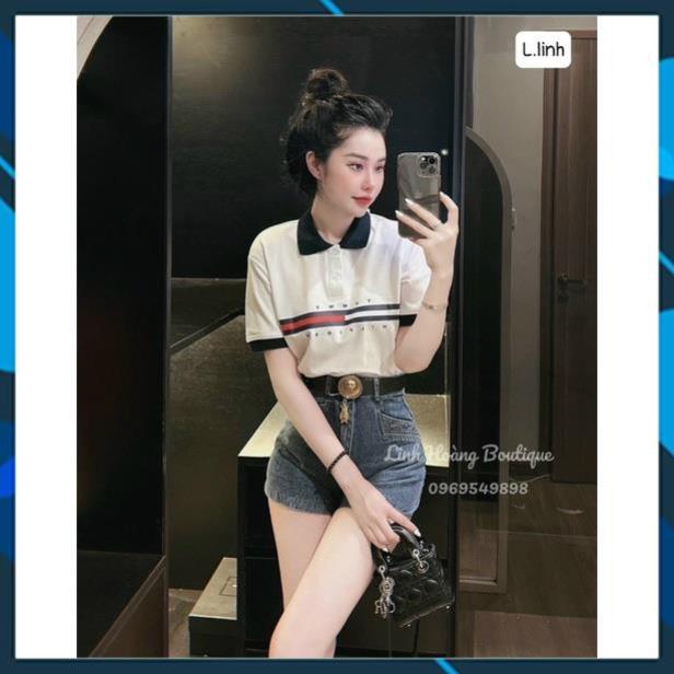 Áo Thun Nữ Có Cổ 𝙏𝙤𝙢𝙢𝙮 ❤️ Áo Polo Nữ Chất Đẹp Hot Hit