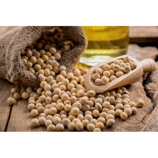 1kg Đậu Nành (Đậu Tương)