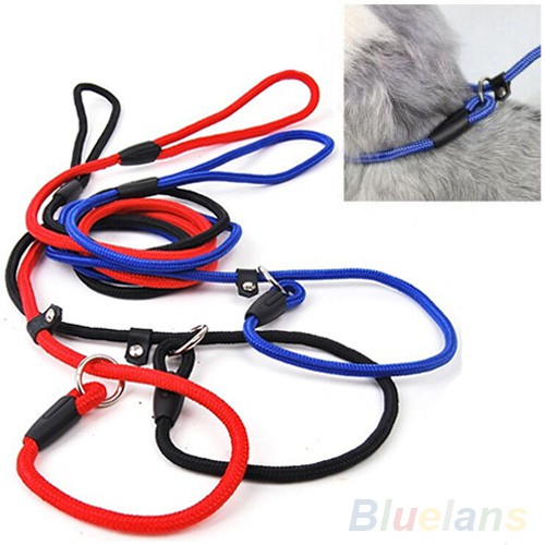 Dây Dắt Thú Cưng Đi Dạo Bằng Nylon Dễ Điều Chỉnh