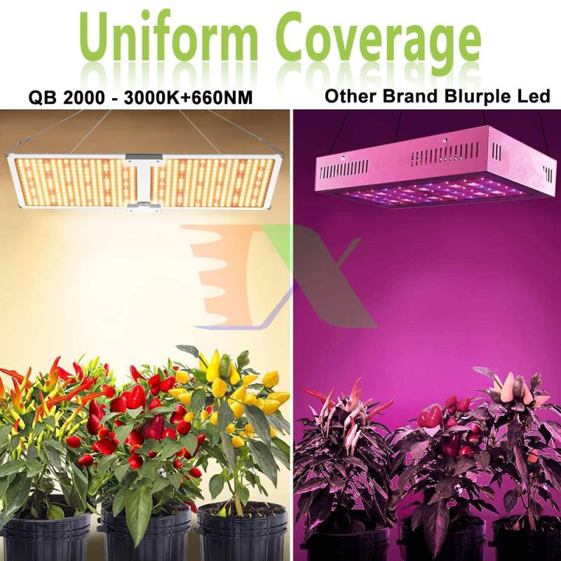 Đèn trồng cây Lượng tử QBC2000, Led grow lights chip Samsung 2000W, Đèn trồng rau trong nhà