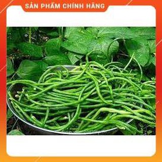 HẠT GIỐNG ĐẬU ĐŨA CAO SẢN