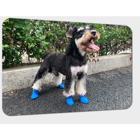 [𝐂𝐎𝐌𝐁𝐎 𝐒𝐀𝐋𝐄] Hipidog giầy ủng chống nước đi mưa cho chó mèo/ Boots shoe waterproof