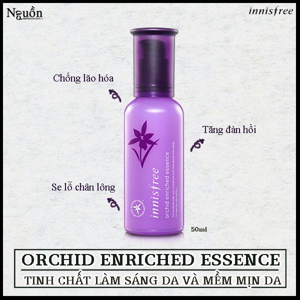 Tinh Chất Innisfree Jeju Orchid Enriched Essence
