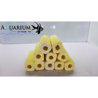 Combo 10 cây sứ lọc nước
