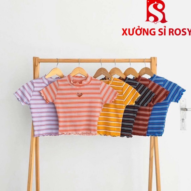 Áo Croptop Tay Dài Cổ Vuông Áo Thun Dài Tay Cổ Vuông