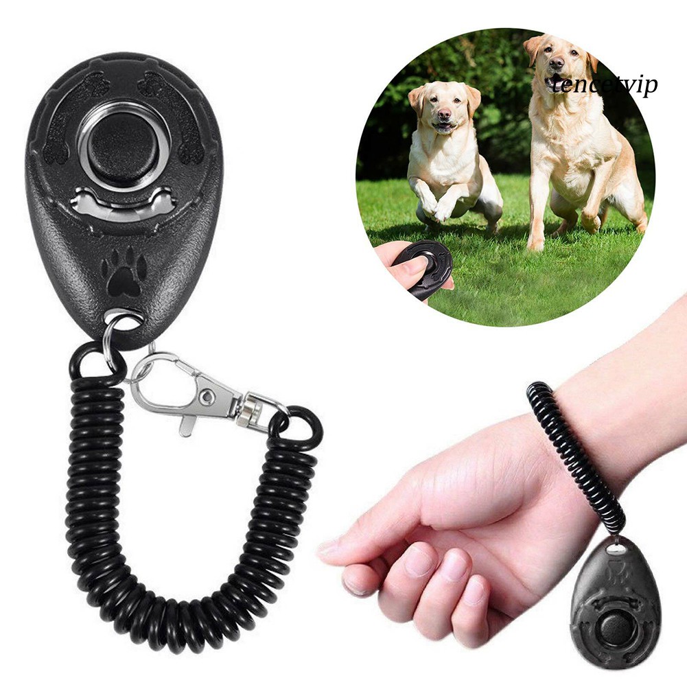Dụng cụ huấn luyện thú cưng hình oval tiện dụng