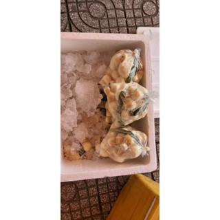 MỘNG DỪA TƯƠI