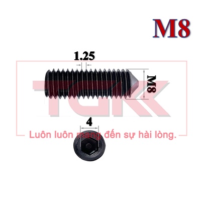 Vít trí đầu nhọn thép đen M8