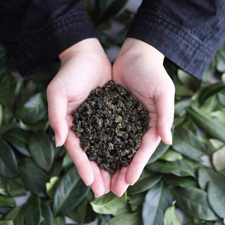 Trà Oolong Đài Loan thượng hạng