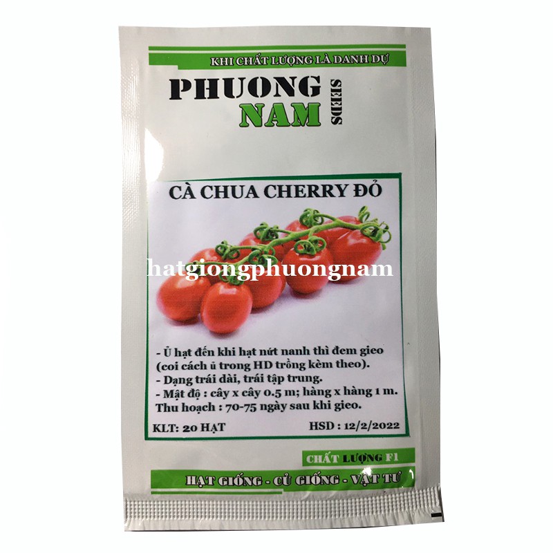 20H - HẠT GIỐNG CÀ CHUA CHERRY ĐỎ