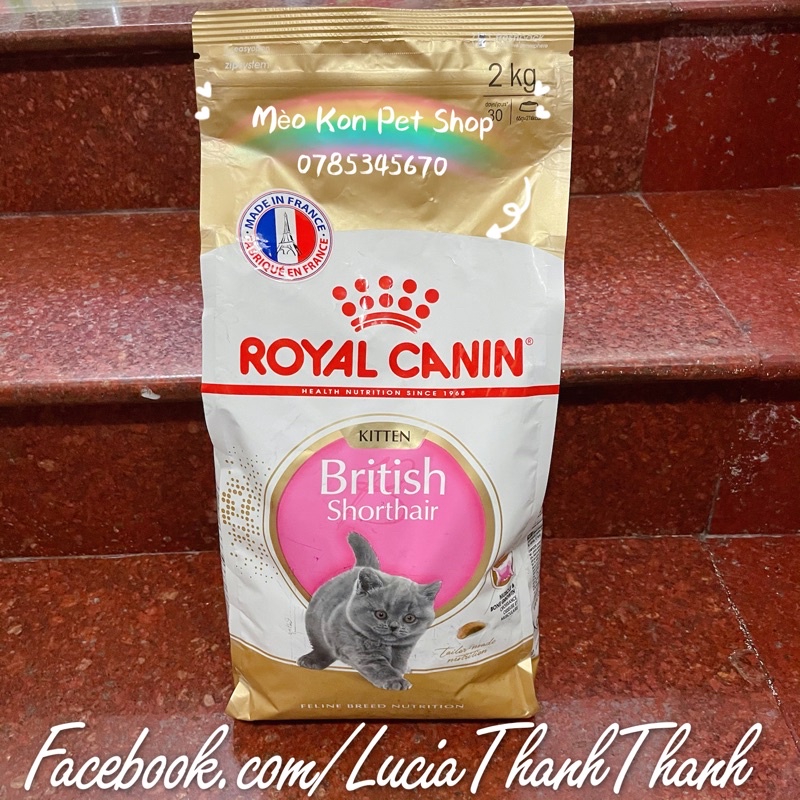 Thức ăn hạt cho mèo Royal Canin British Short Hair Kitten Bịch 2KG