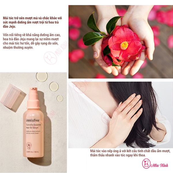 DẦU DƯỠNG TÓC [INNISFREE] Camellia Essential Hair Oil Serum | BigBuy360 - bigbuy360.vn